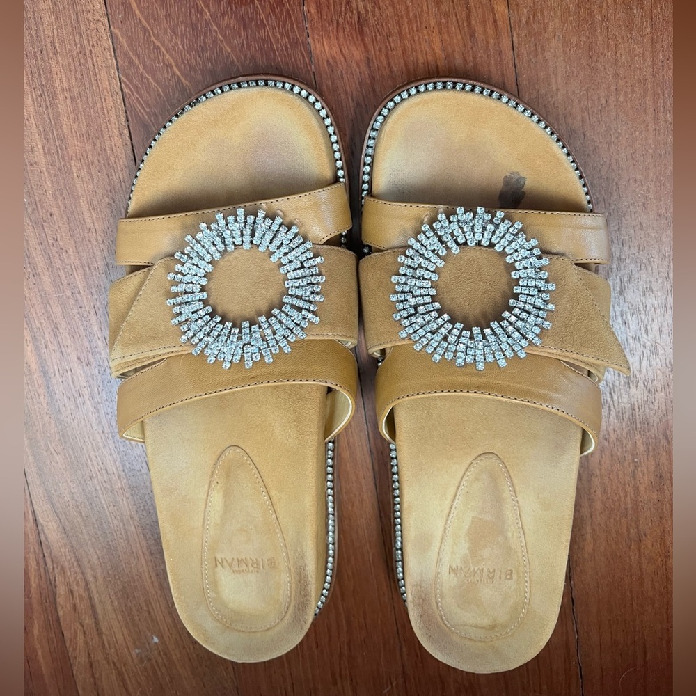 Alexandre Birman Embellished Slide Sandals